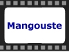 Mangouste
