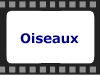Oiseaux